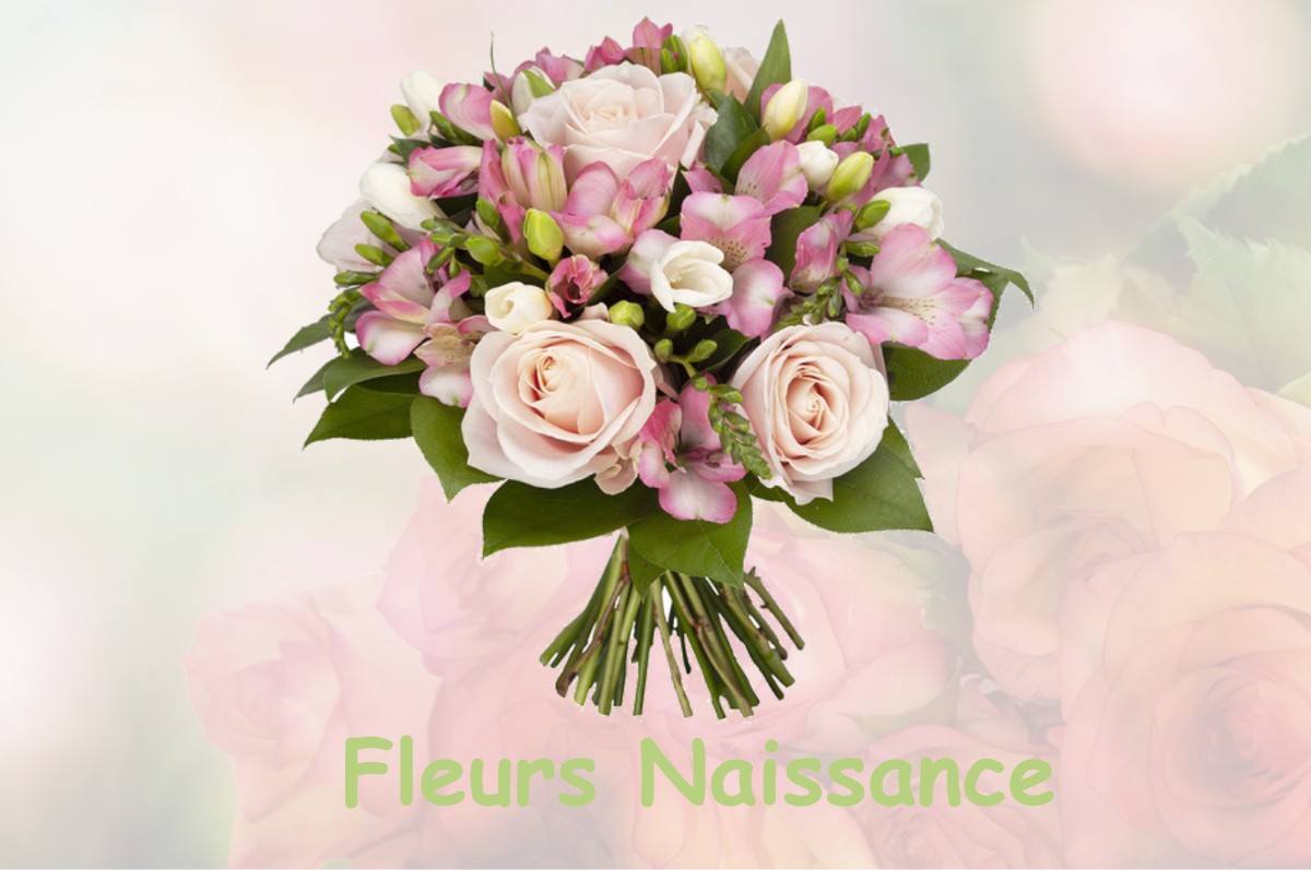 fleurs naissance VILLEROMAIN