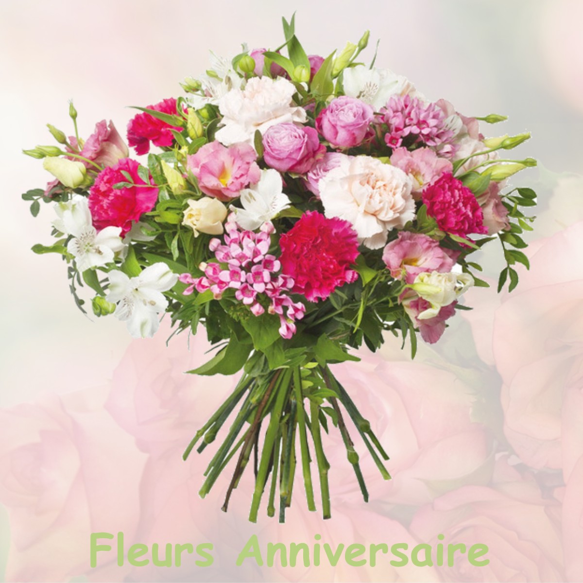 fleurs anniversaire VILLEROMAIN