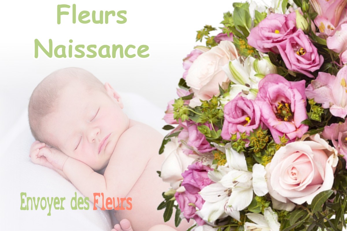 lIVRAISON FLEURS NAISSANCE à VILLEROMAIN